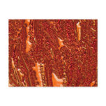 Alien Orange Post Card