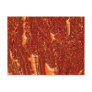 Alien Orange Post Card