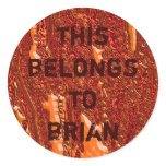 Alien Orange Round Sticker