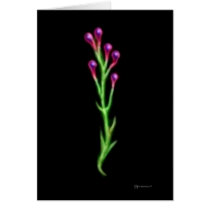 Alien Plant Life card cards