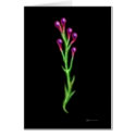 Alien Plant Life card