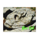 Alien Skull In Navajo Nation Postcard
