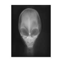 Alien X-Ray postcards