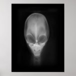 Alien X-Ray Print