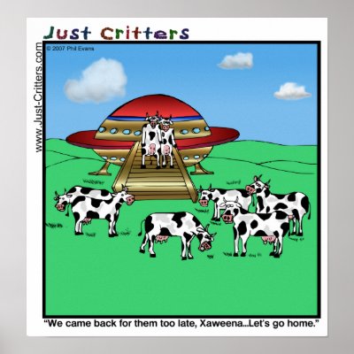 go cows poster