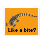 Aligator from JungleWalk.com Postcard