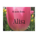 Alisa postcards