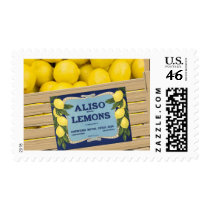 Aliso Lemons postage by ElainePlesser Aliso Lemons postage