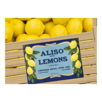 Aliso Lemons posters