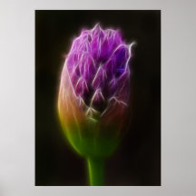 Alium Posters