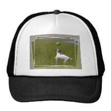 Alive Trucker Hats