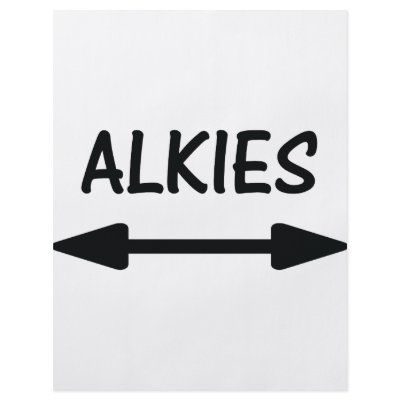 alkies icon full color flyer by TomaniacLines