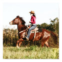 All A Cowgirl Needs posters