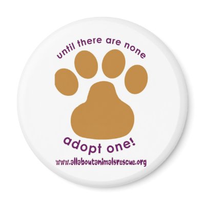 All About Animals Logo Refrigerator Magnet by quatrosales