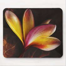 all about me mousepads