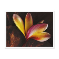 all about me postcards