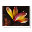 all about me posters by blacqbook all about me posters