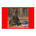 All American Ball Player posters