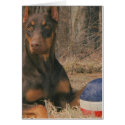ALL AMERICAN PROTECTION AGENCY cards