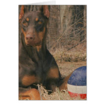 ALL AMERICAN PROTECTION AGENCY cards by wolfmountainstudio ALL AMERICAN PROTECTION AGENCY cards