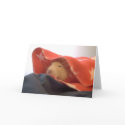 All American Rat cards by ratsrule All American Rat cards