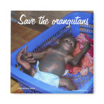 All Babies Need Love Fridge Magnets