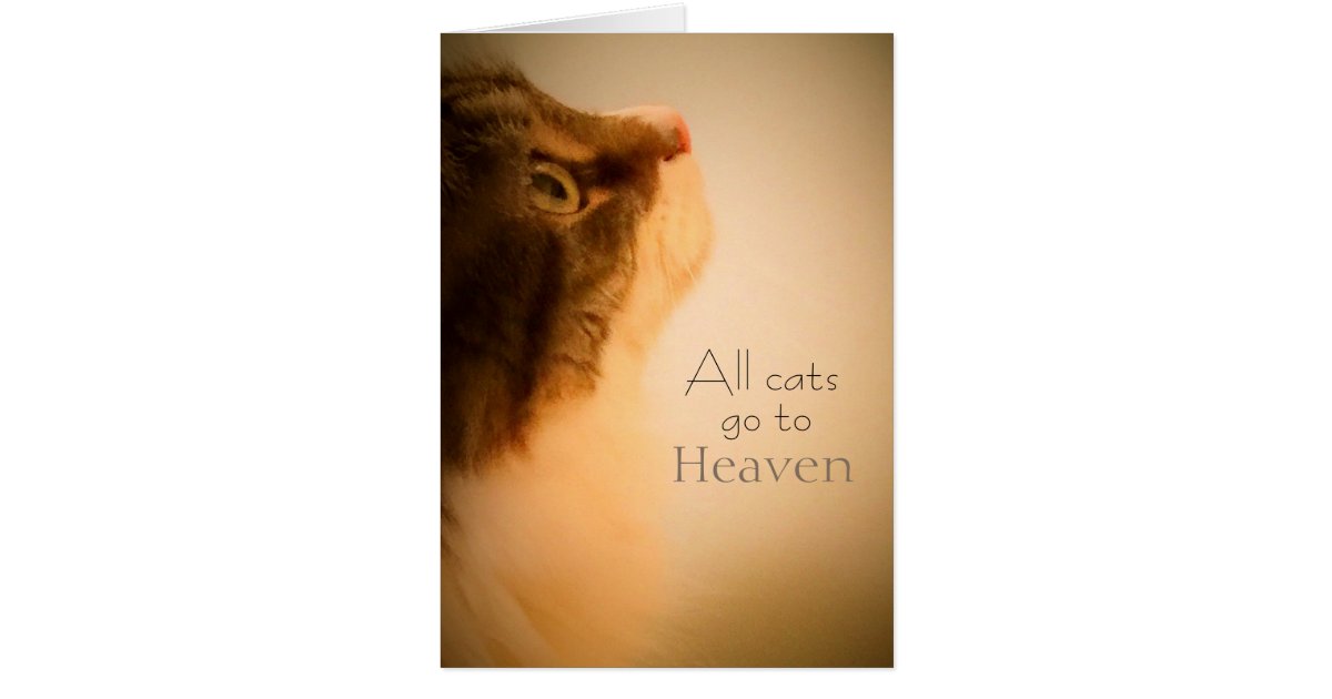 All Cats Go To Heaven Sympathy Card Zazzle
