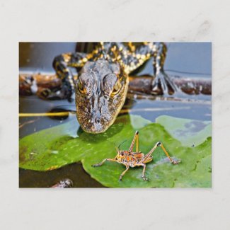 All Creatures Great and Small postcard