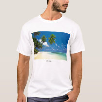 all day...all night. t-shirts
