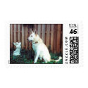 All Dogs Are Angels postage