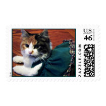 All Dolled Up Stamp