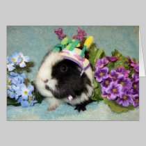 All Dressed Up cards