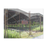 All gated up post cards