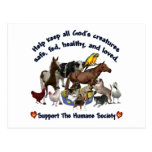 All Gods Creatures Humane Society Post Cards