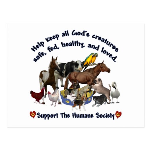 All Gods Creatures Humane Society Post Cards