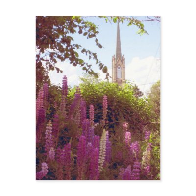 all going to the same place post cards by evoluc