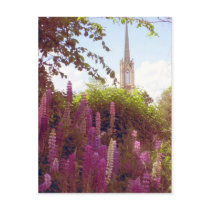 all going to the same place postcards by evoluc all going to the same place postcards