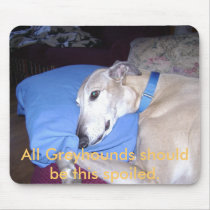 All Greyhounds should be this spoiled. mousepads by pjd102094 All Greyhounds should be this spoiled. mousepads
