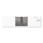 All grown up now bumper stickers
