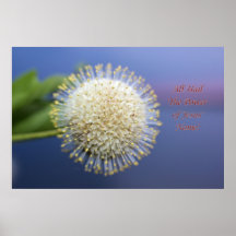 All Hail The Power of Jesus Name! Posters