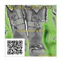 All Hat... No Cattle Women's Tee2 t-shirts by rayala2 All Hat... No Cattle Women's Tee2 t-shirts