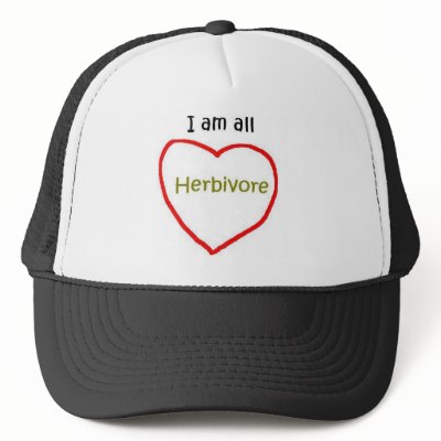 All Heart Hat by allinharmony