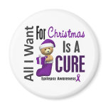 All I Want For Christmas Epilepsy Magnets