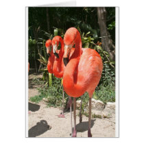 All in a Row Cards