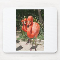 All in a Row Mouse Pad