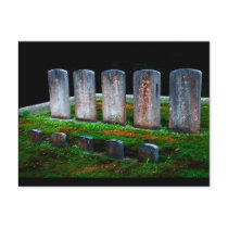 All in a Row Postcard