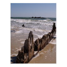 All in a Row Postcards