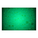 All is Full of Dragonflies posters