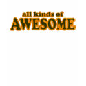 All Kinds of Awesome t-shirts by TheBigTees All Kinds of Awesome t-shirts