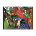 ALL MY BIRD;S IN MY GARDEN BY EMILY WINTER XXXXXXX POSTCARDS